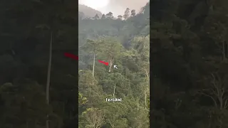 APES! KEMAGRIBAN PULANG DARI CURUG KETEMU KUNTILANAK NONGKRONG #viral #shorts #gunung #kuntilanak