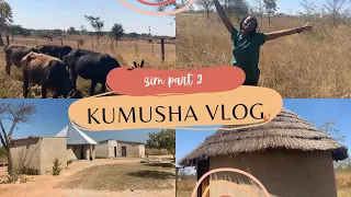 Kumusha vlog: Zim pt 2