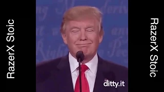 DITTY.IT FUNNY MEME COMPILATION *humorous*