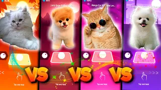 CUTE CAT BLOODY MARY VS CUTE DOG BLOODY MARY VS CUTE CAT BTS FAKE LOVE VS CUTE DOG KATY PERRY ROAR