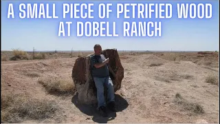 DoBell Ranch Petrified Wood wonder land