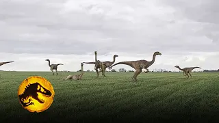 Dinotracker Sightings in Our World | Jurassic World