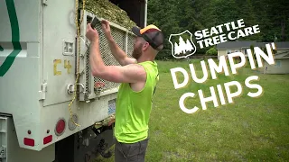 Chip Dumpin' with Seattle Tree Care