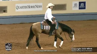 Gotta Shiney Peso NRHA Derby N.Horse Open Derby 219