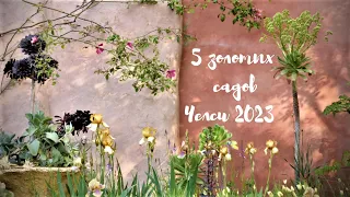 Пять золотых садов Челси 2023