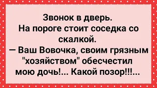 Вовочка Обесчестил Соседскую Дочь! Сборник Свежих Анекдотов! Юмор!