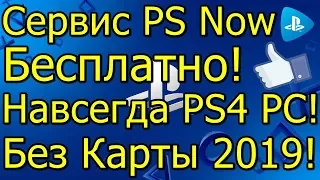 Халявный PS Now Навсегда PS4 PC