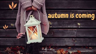 【playlist】秋の足音が近づいてきたよ🍂/acoustic autumn/autumn mood/indie/가을에 듣고 싶은 음악