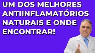 Um dos melhores antiinflamatórios naturais e onde encontrar!