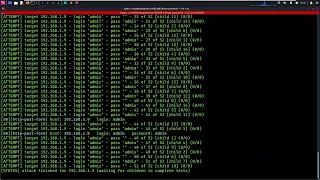 SIZMA TESTİ (Vuln Hub ZICO 2 CTF)