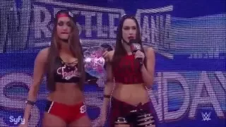 The Bella twins - Fight Song