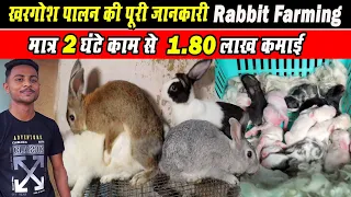 RABBIT FARMING।। खरगोश पालन कैसे?।। khargosh palan kaise?।Rabbit Harvest। How to start Rabbite farm