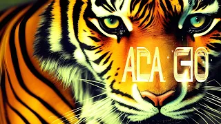 Survivor - Eye of the tiger ( Remix by Ada Gio )