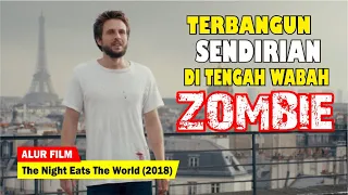 DALAM SEMALAM KOTA INI BERUBAH MENJADI KOTA ZOMBIE | Alur Cerita Film The Night Eat The World (2018)