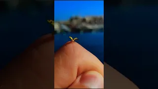 #Yellow #ladybug  taking off🚁 🐞 not cgi & sound-on 😁