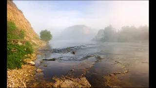 Слава баргузинской золотой тайги.