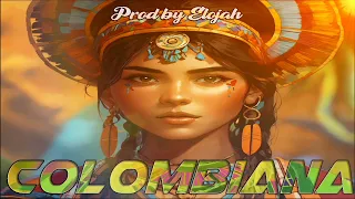 "Colombiana" type beat reggae Roots riddim 2024