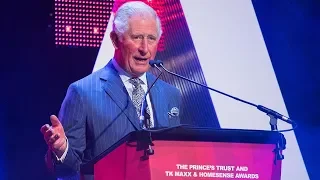 Prince Charles cracks jokes during speech