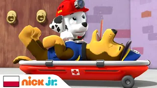 Psi Patrol | Chase zachorował! | Nick Jr.