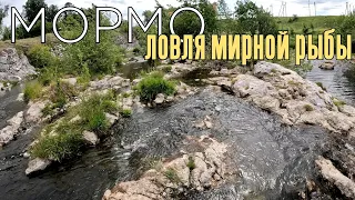 Мормышинг. Ловля мирной рыбы спиннингом. Караси,  плотва,  ельцы...