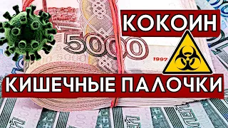 СКОЛЬКО БАКТЕРИЙ НА ДЕНЬГАХ как не подцепить опасные вирусы и болезни