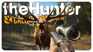 Hunting EVERY species on Emerald Coast (60 min, one gun challenge) | theHunter: Call of the Wild