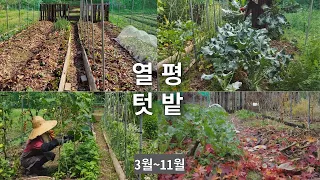 백평만큼 풍성한 '열평 텃밭 '/ 효율적인 작물 섞어짓기/ 첫작물부터 마지막 수확까지/