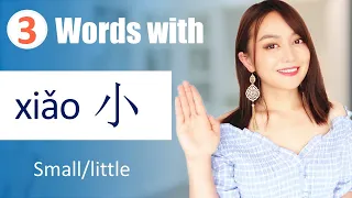 11 useful words formed by "小xiǎo(small/little）”, Learn Chinese FAST with Yimin Chinese