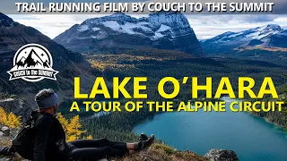 LAKE O'HARA: A Tour of the Alpine Circuit | Trail Running Film