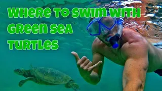 Where to swim with Green Sea Turtles in Kauai Hawaii #greenseaturtle #hawaii