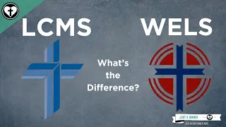 Differences between LCMS and WELS