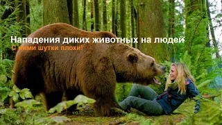 НАПАДЕНИЕ ЖИВОТНЫХ НА ЛЮДЕЙ .час 1ANIMAL ATTACK ON PEOPLE. Hour 1