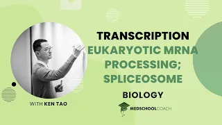 Types of RNA and Mechanism of Transcription