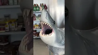 Chocolate Shark! 🦈 This 7,5ft long and 150lbs 100% chocolate is one of