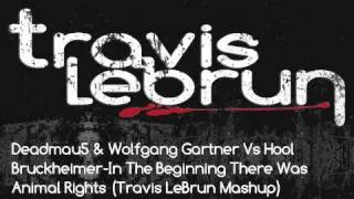 Wolfgang Gartner Vs Hool Bruckheimer-In The Beginning There Was Animal Rights (Travis LeBrun Mashup)