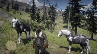 Red Dead Redemption 2 How To Hunt The Legendary Pronghorn As Arthur Early In Chapter 2