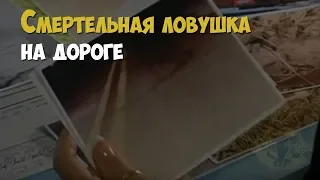 Убийство Элвина Джонсона. Смертельная ловушка на дороге | Криминальная история