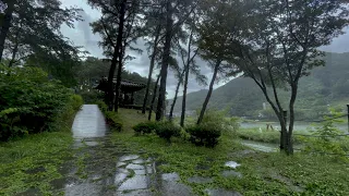 Rainy quiet scenery Perfect for insomnia and sleep, the sound of rain White Noise Lullaby ASMR