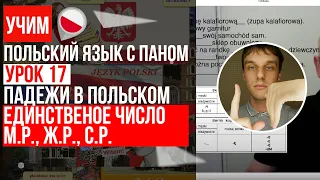 Все падежи и их склонения в польском в единственном числе. Урок 17 - Польский язык с нуля.