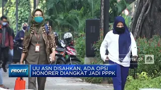 UU ASN Disahkan, Ada Opsi Honorer Diangkat Jadi PPPK