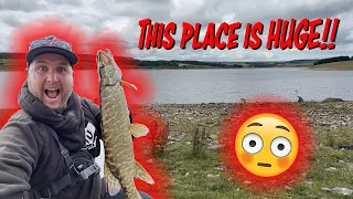 Pike Fishing on Derwent Reservoir!! The Most Beautiful Place I've Ever Fished!!