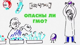 Опасны ли ГМО? — НАУЧПОК