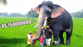 ഞങ്ങൾ ആനയെ വാങ്ങിയപ്പോൾ | We Bought An Elephant | M4 Tech |