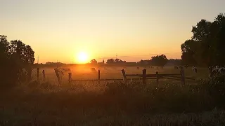 11 minutes just sound of nature for meditation pasture sunrise