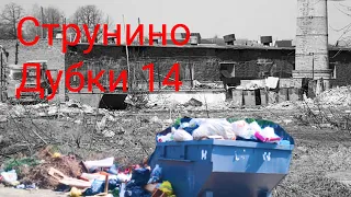 Струнино. Дубки 14