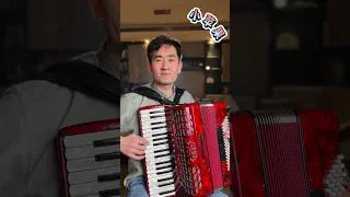 Russian Folk Song | Oh! Little Apple | Accordion Cover