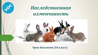 Наследственная изменчивость