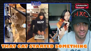 The Kiffness - Alugalug Cat (International Symphonic Mashup) Reaction!