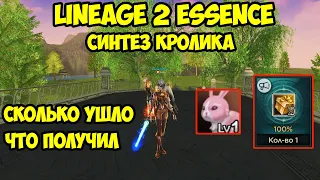 Сколько я потратил на синтез ивентового кролика в Lineage 2 Essence.