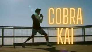 Miguel's TRAINING Montage- Cobra Kai (Season 1)